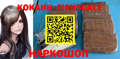 гидра Заводоуковск