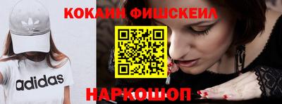 гидра Заводоуковск