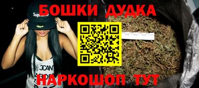 шишки Заволжье