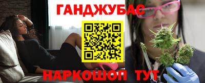 гидра Заводоуковск