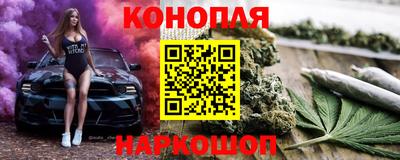 гидра Заводоуковск