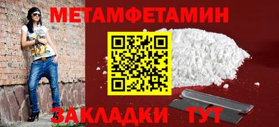 шишки Заволжье