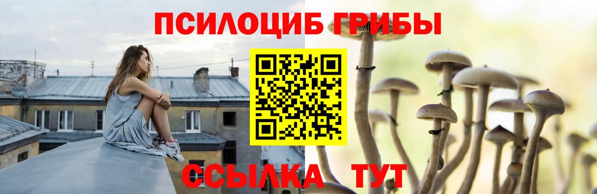 Псилоцибиновые грибы Magic Shrooms Тверь